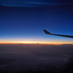 女人添荫蒂视频观看
